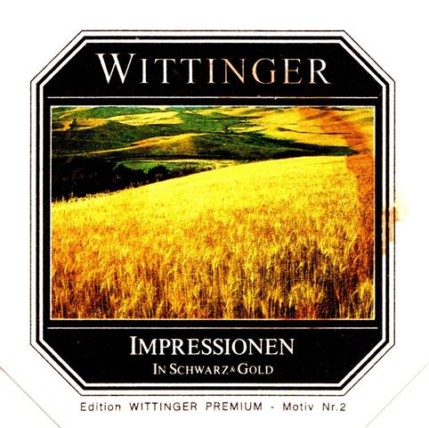wittingen gf-ni wittinger die welt 1b (eck180-impressioen-motiv 2)
